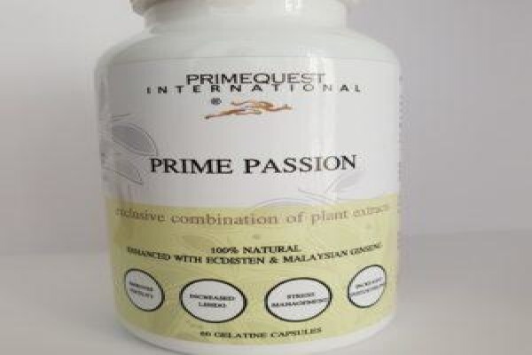 Primequest International