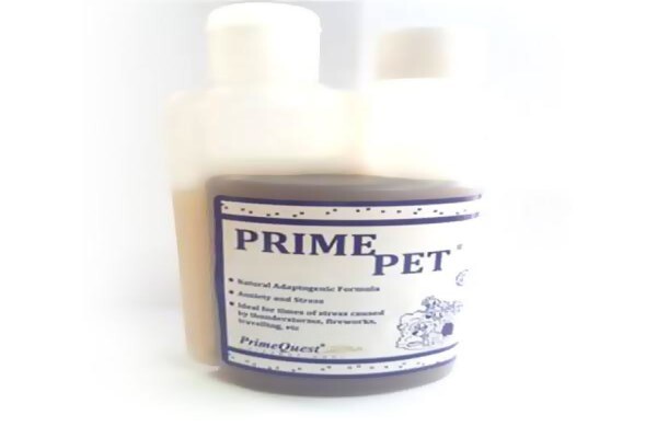 Primequest International