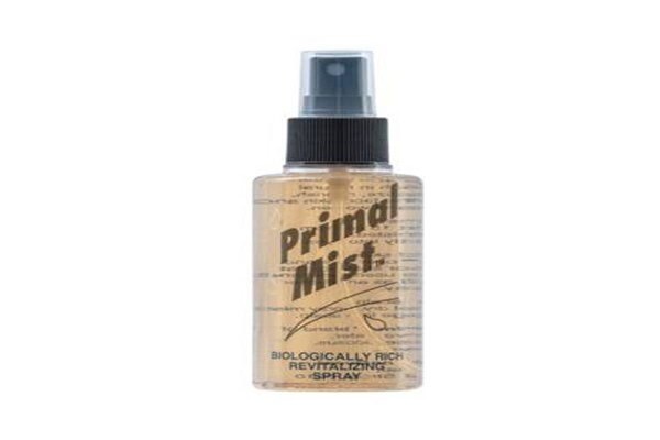 Primequest International