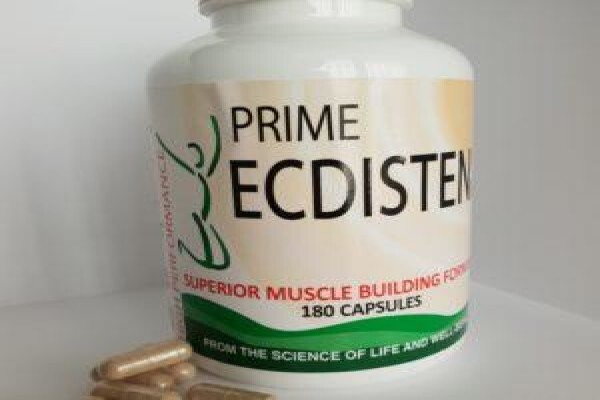 Primequest International