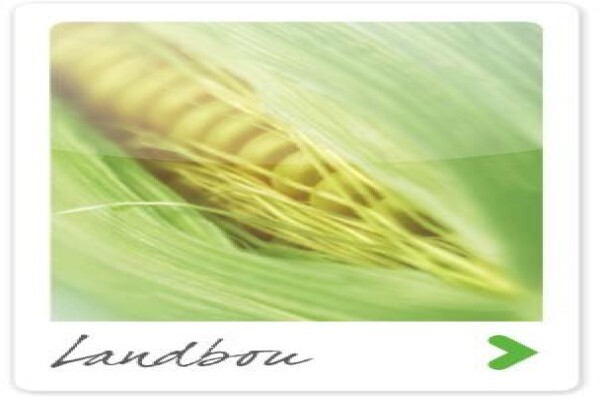 S A Lime & Gypsum (Pty) Ltd