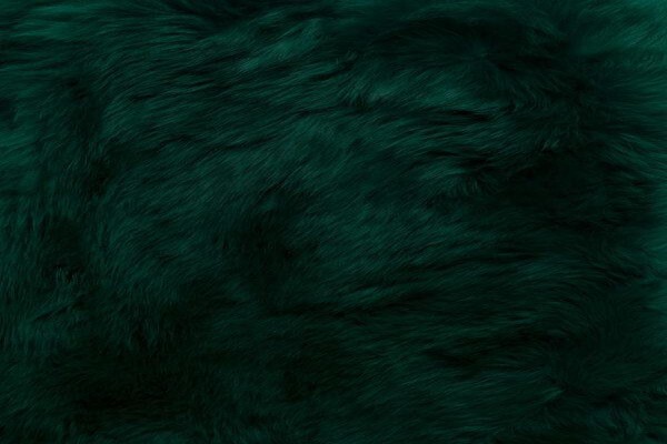 African Gameskin (Pty) Ltd