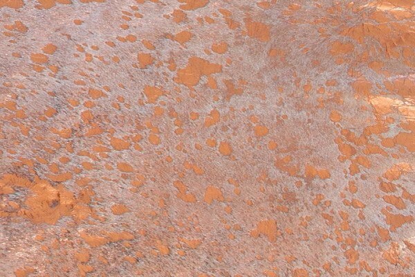 African Gameskin (Pty) Ltd