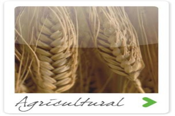S A Lime & Gypsum (Pty) Ltd