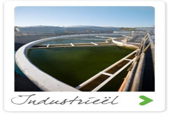 S A Lime & Gypsum (Pty) Ltd