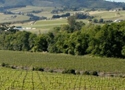 Somerset Wines International (Pty) Ltd