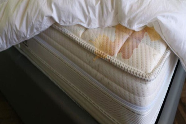 Ericssons Mattress & Pine CC