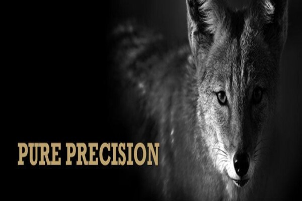 Lynx Optics (Pty) Ltd