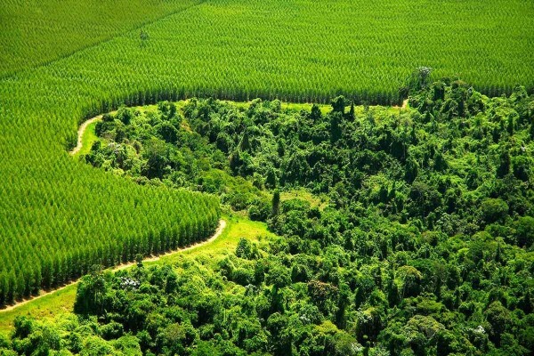 Storaenso (Southern Africa)