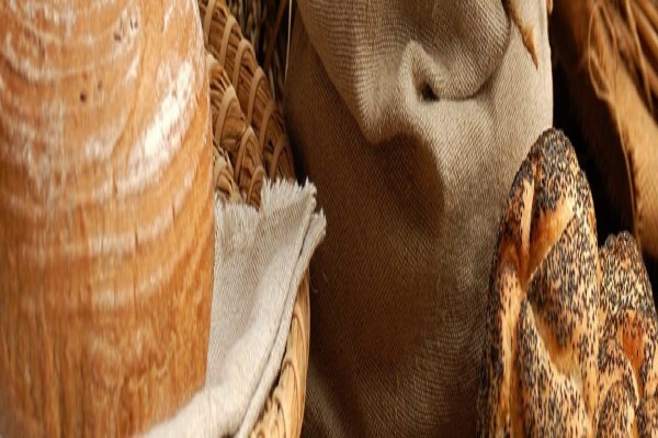 Advance Seed (Pty)ltd