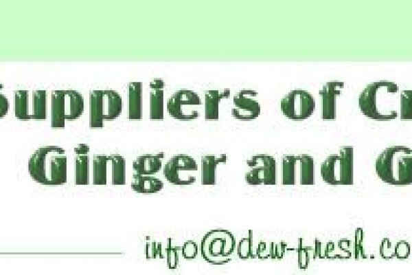 Dew Wholesalers