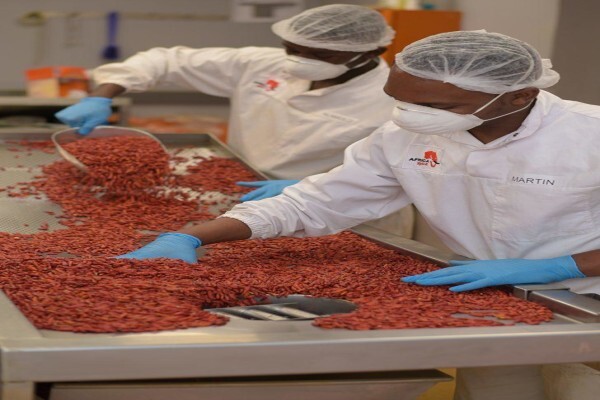 Africa Spice