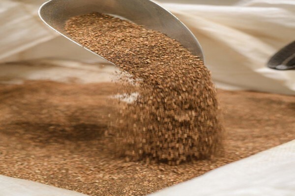 Africa Spice