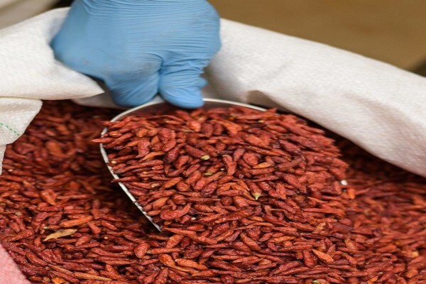 Africa Spice