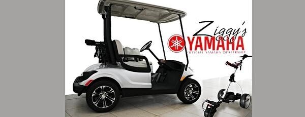 Ziggy's Yamaha