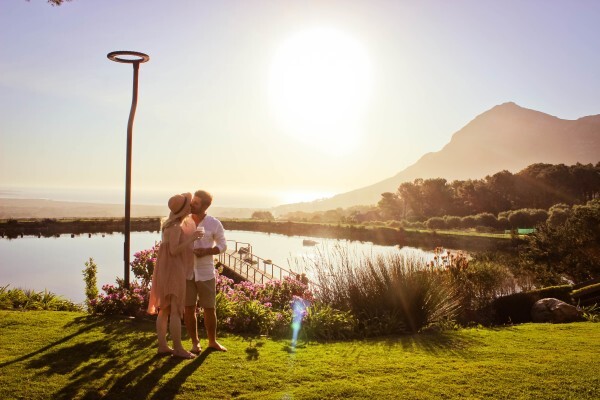 Cape Point Vineyards