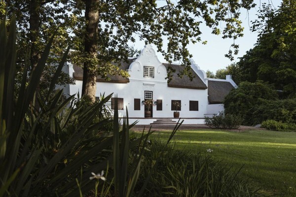 Blaauwklippen Vineyards