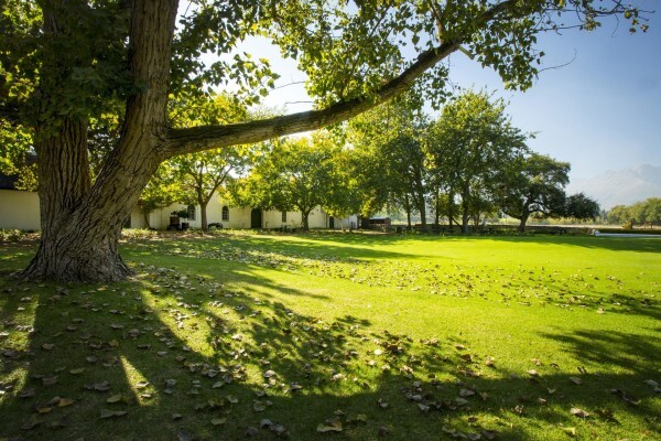 Blaauwklippen Vineyards