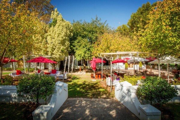 Blaauwklippen Vineyards