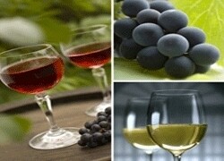 Paarl Wine Route
