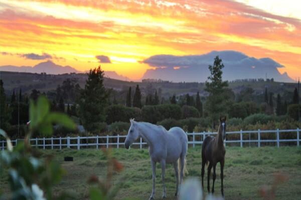 Avontuur Winery