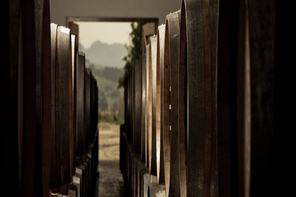 Arra Vineyards (Pty) Ltd