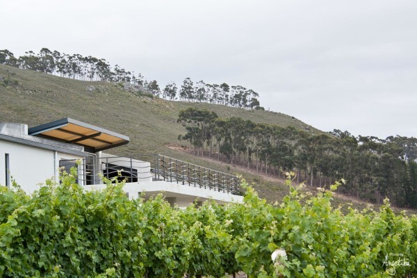 Arra Vineyards (Pty) Ltd