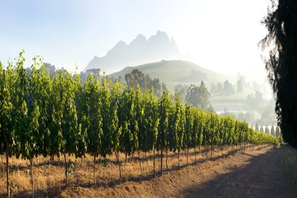 Clos Malverne Winery Restaurant & Spa