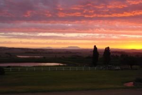 Landskroon Wines