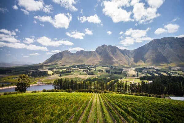 Newton Johnson Wines (Pty) Ltd