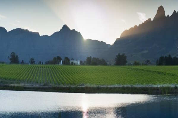 Klein Constantia Estates