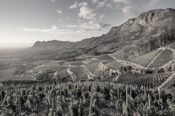 Klein Constantia Estates