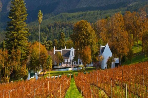 Klein Constantia Estates
