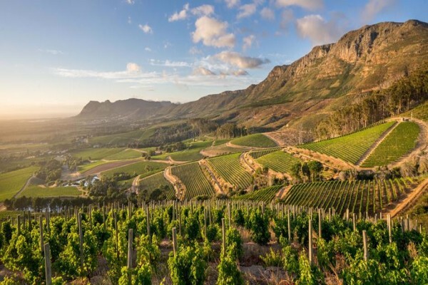 Klein Constantia Estates