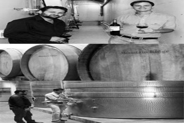 Mountain Ridge Wines