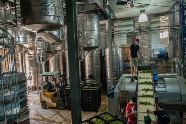 Newton Johnson Wines (Pty) Ltd