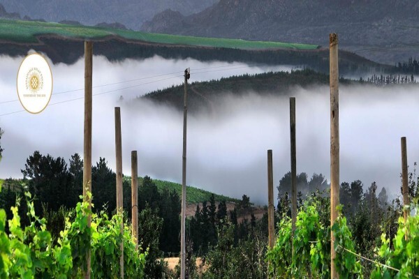 Vrede & Lust Winery
