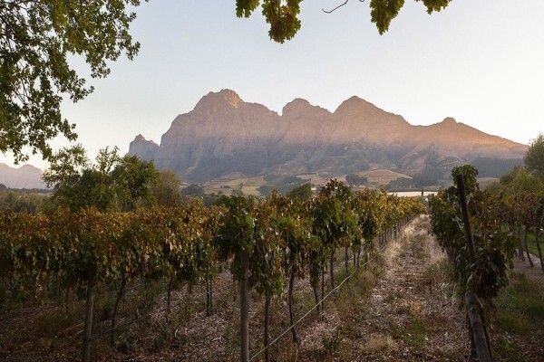Vrede & Lust Winery