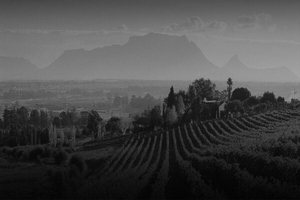 Saxenburg Wine Farm