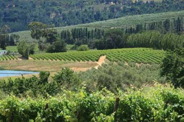 Calais Wine Estate