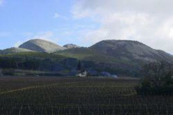 Calais Wine Estate