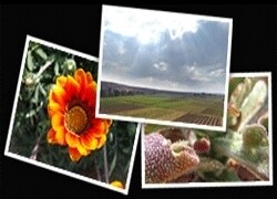 Namaqua Wines (Pty) Ltd