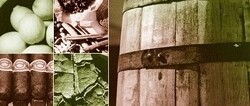 Wine Concepts