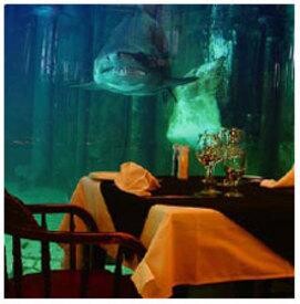 Cargo Hold Restaurant