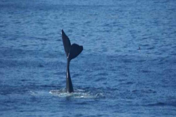 Bientangs Cave