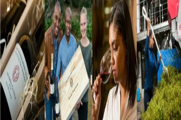Cape Wine Makers Guild