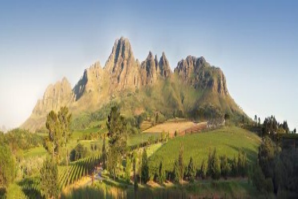 Cape Wine Makers Guild