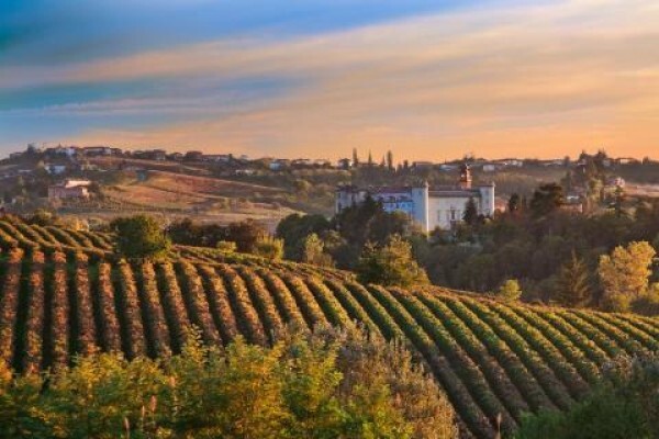 Cape Wine Makers Guild