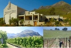 Waverley Hill Cellar & Restaurant