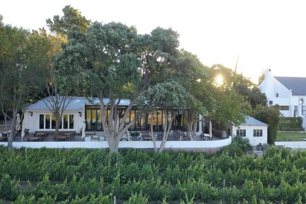 Haskell Vineyards
